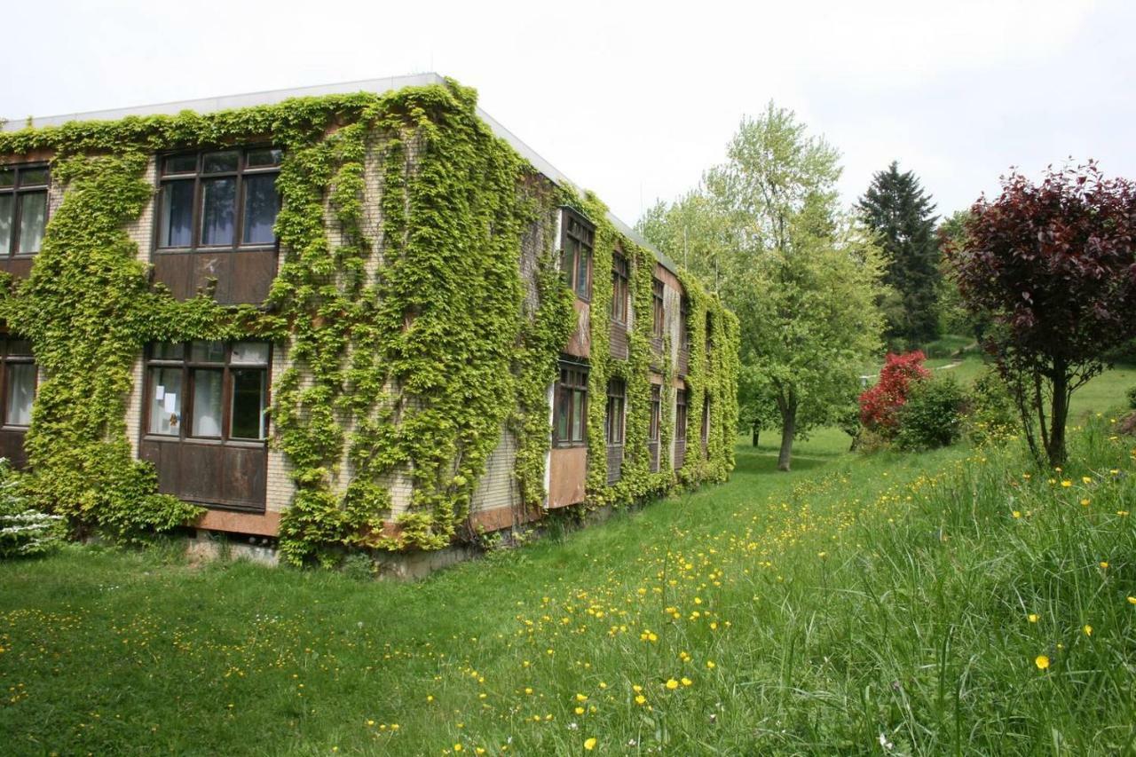 Blumenmeer Appartment Ober-Hambach Exteriör bild